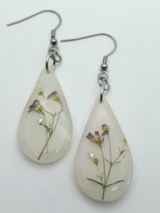 Гипсофила от Африка